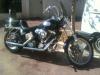 Annonce moto Harley-Davidson SOFTAIL