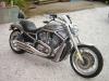 Annonce moto Harley-Davidson V-ROD