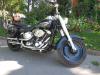 Annonce moto Harley-Davidson SOFTAIL