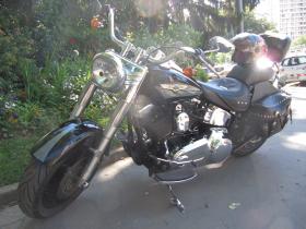 Harley-Davidson SOFTAIL 