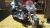 Annonce moto Yamaha XVS