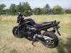 Suzuki GSF BANDIT occasion