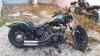 Harley-Davidson SOFTAIL occasion