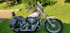 Annonce moto Harley-Davidson Dyna low rider 