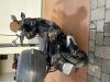 Annonce moto Kymco DTX 360